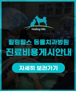진료비용배너2.jpg