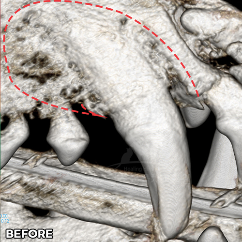샘플