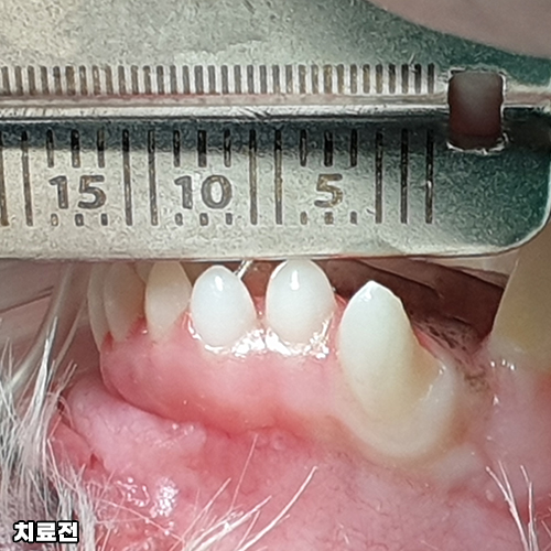 샘플 이미지
