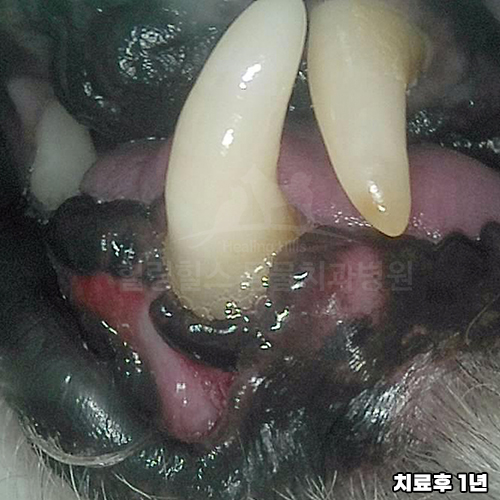 샘플 이미지