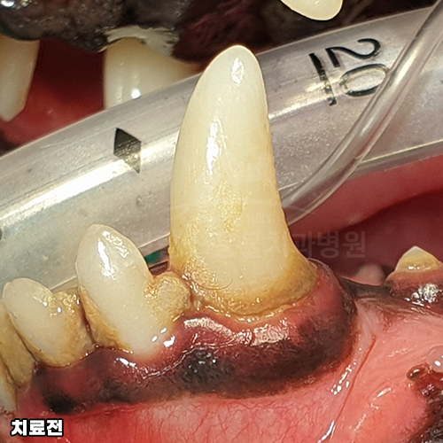 샘플 이미지