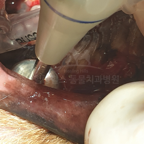 샘플 이미지