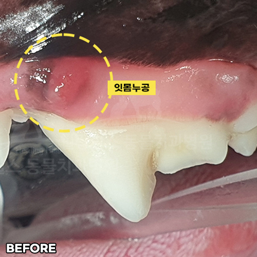 샘플 이미지